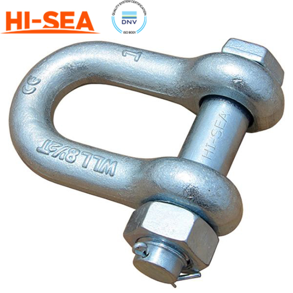 Chain Shackle